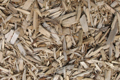 biomass boilers Aberllefenni
